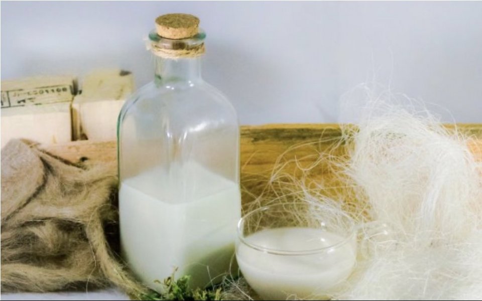 Comment préparer facilement et rapidement du lait de chanvre?