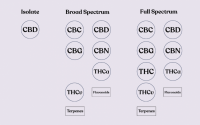 Huile de CBD à spectre complet vs à large spectre vs isolat