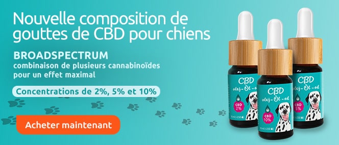 HP New Broad Spactrum CBD Oil For Animals 664x284 FR Min